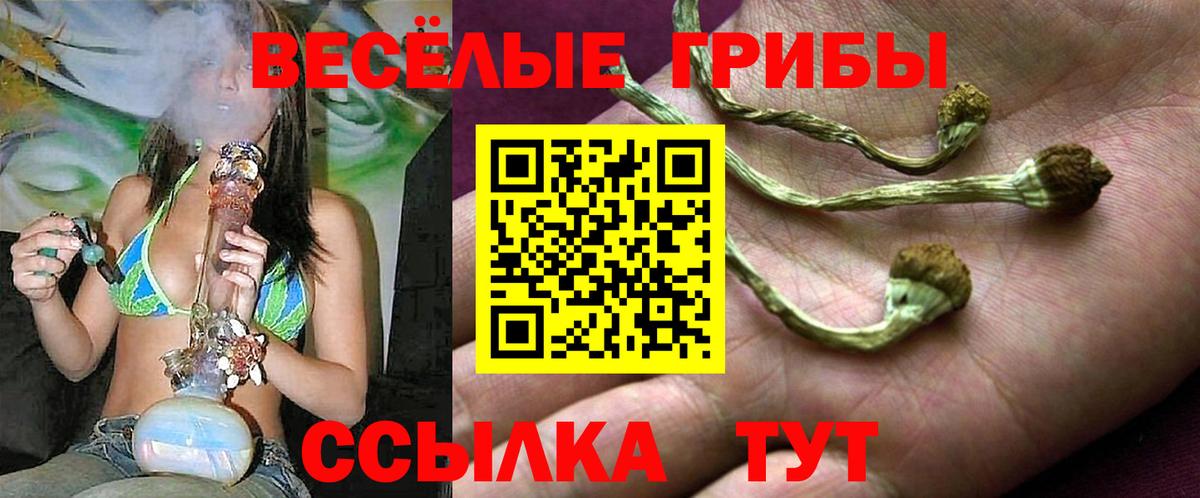 Псилоцибиновые грибы ЛСД Будённовск