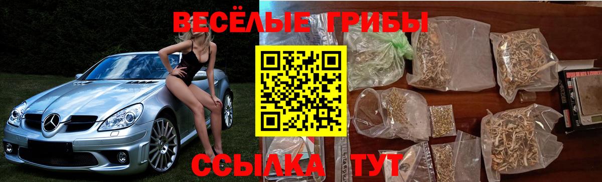Будённовск  Псилоцибиновые грибы ЛСД  Вход с VPN 